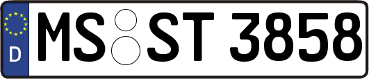 MS-ST3858