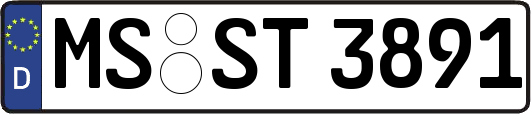 MS-ST3891
