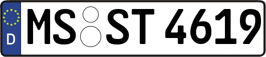 MS-ST4619