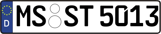 MS-ST5013
