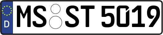 MS-ST5019
