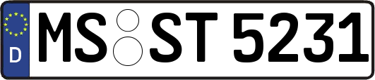 MS-ST5231