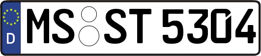 MS-ST5304