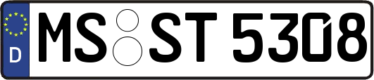MS-ST5308