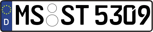 MS-ST5309