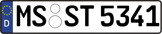 MS-ST5341