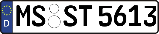 MS-ST5613