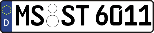 MS-ST6011