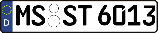 MS-ST6013