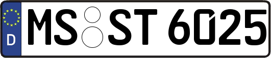 MS-ST6025