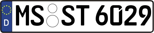 MS-ST6029