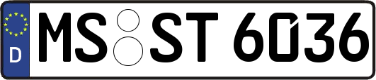 MS-ST6036