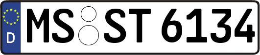 MS-ST6134