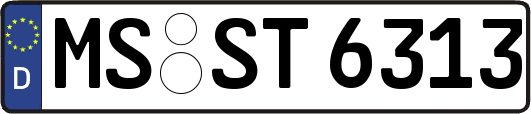MS-ST6313