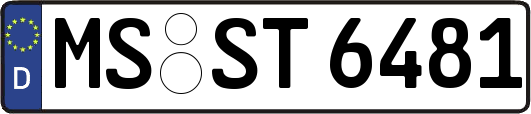 MS-ST6481