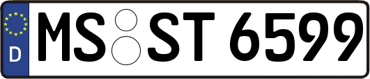 MS-ST6599