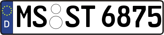 MS-ST6875