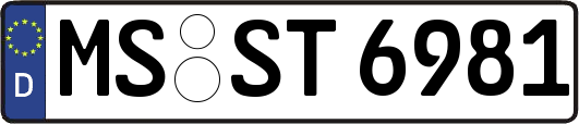 MS-ST6981