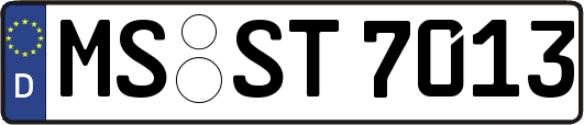 MS-ST7013