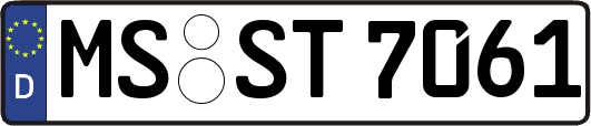 MS-ST7061