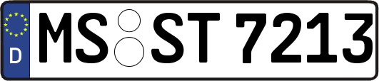 MS-ST7213