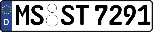 MS-ST7291