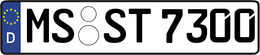 MS-ST7300