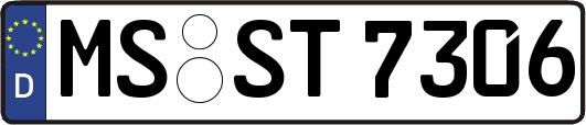MS-ST7306