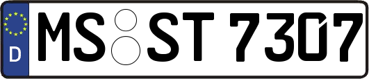 MS-ST7307