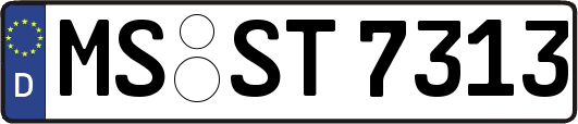 MS-ST7313