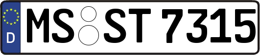 MS-ST7315