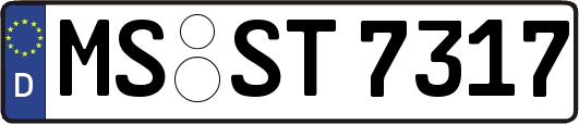 MS-ST7317