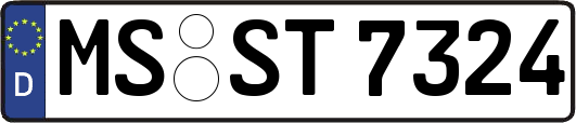 MS-ST7324
