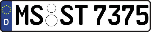 MS-ST7375