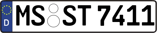 MS-ST7411