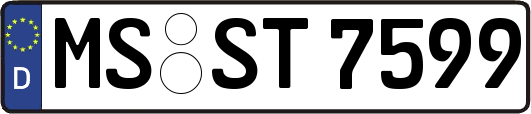 MS-ST7599