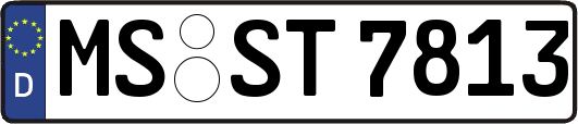 MS-ST7813