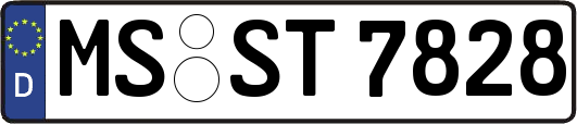 MS-ST7828