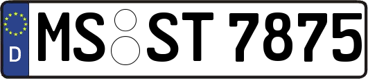 MS-ST7875