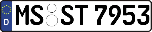 MS-ST7953