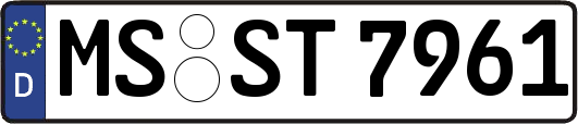 MS-ST7961