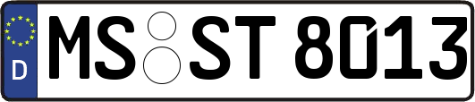 MS-ST8013