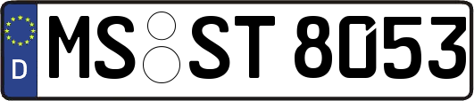 MS-ST8053