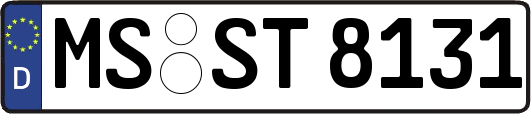MS-ST8131