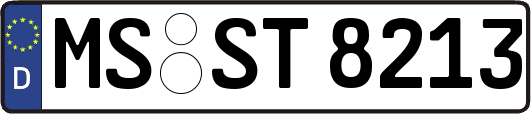 MS-ST8213