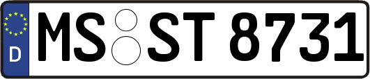 MS-ST8731