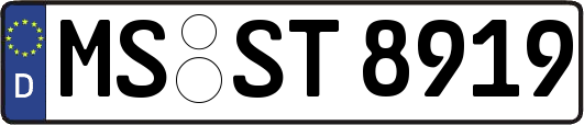 MS-ST8919