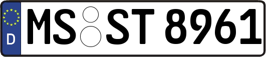 MS-ST8961