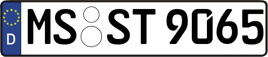 MS-ST9065