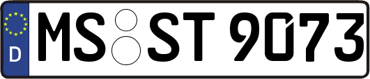 MS-ST9073